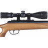 Пневматическая винтовка CROSMAN Trail NP 8-BT1K77WNP